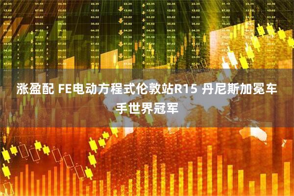 涨盈配 FE电动方程式伦敦站R15 丹尼斯加冕车手世界冠军