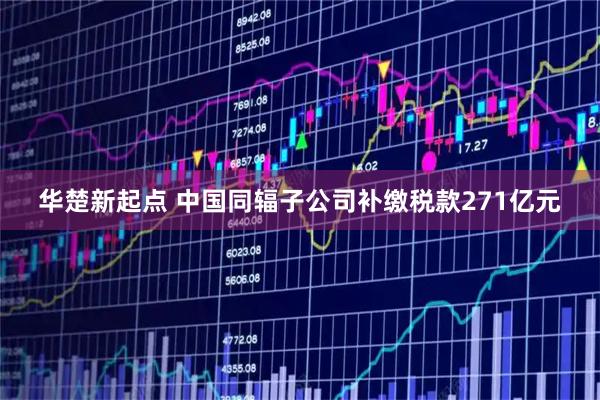 华楚新起点 中国同辐子公司补缴税款271亿元
